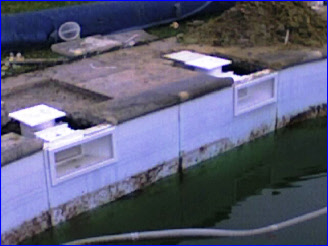 wp716e83d7_0f.jpg